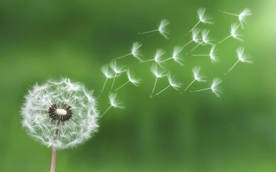 Tử vi 12 cung hoàng đạo thứ Tư (17/1/2018)