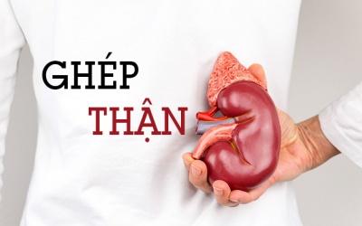 Ngoài 60 bị suy thận có nên ghép thận?