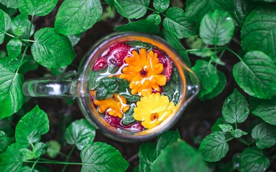 “Khởi động” lại hormone nhờ detox tự nhiên