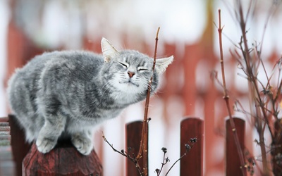 Tử vi 12 cung hoàng đạo thứ Tư (31/1/2018)