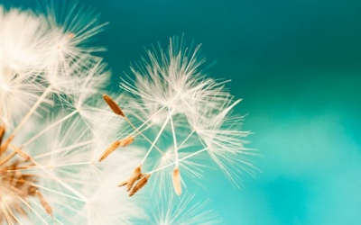 Tử vi 12 cung hoàng đạo thứ Năm (8/2/2018) may mắn với Nhân Mã, Song Tử