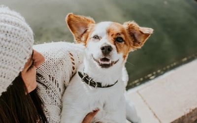 Tử vi cung hoàng đạo thứ Bảy (10/2/2018): Cuối tuần thú vị của Song Tử, Thiên Bình