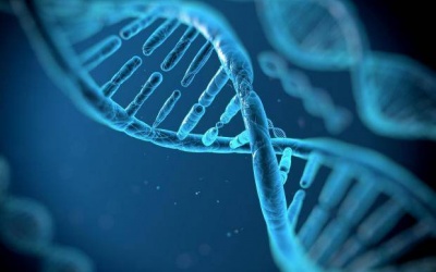 Rượu làm tổn hại tế bào gốc và tăng nguy cơ ung thư thế nào?