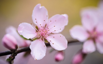 Bí quyết thành công trong cuộc sống: Đơn giản hóa mọi thứ