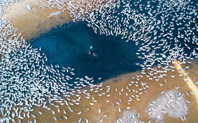 2 tác phẩm Việt Nam bất ngờ đoạt giải Nhiếp ảnh trên không quốc tế