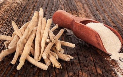 Khám phá lợi ích sức khỏe vượt trội của nhân sâm Ấn Độ ashwagandha 