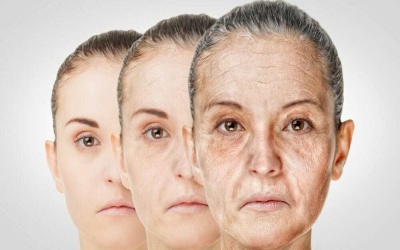 Các loại thảo mộc chống lão hóa, giúp làn da luôn tươi trẻ