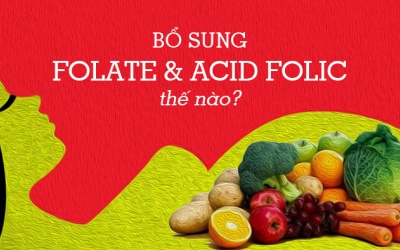 Top 10 thực phẩm giàu folate và acid folic nhất