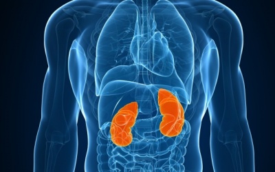 Detox, thải độc thận nhờ 10 loại nước