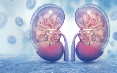 Những dấu hiệu 'thầm lặng' cảnh báo bệnh thận mạn tính