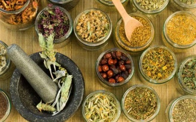 Đông y điều trị viêm kết mạc mùa Xuân thế nào?