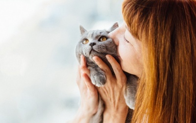 Tử vi cung hoàng đạo thứ Tư (14/3/2018) với Bọ Cạp, Nhân Mã