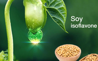 Soy isoflavone - tinh chất mầm đậu nành có tác dụng gì? 