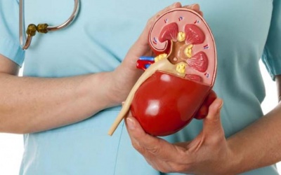 Những biến chứng mà phụ nữ mắc bệnh thận thường gặp phải