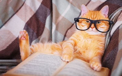 Tử vi thứ Năm (22/3/2018): Ngày vui với Ma Kết, Song Ngư