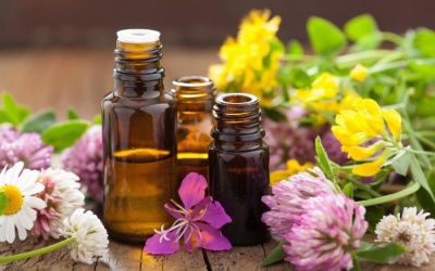 Cách dùng 5 loại tinh dầu đuổi muỗi an toàn và hiệu quả