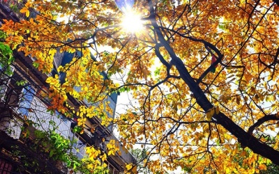 Miền Bắc nắng đẹp đến hết ngày 5/4