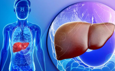 Suy giảm chức năng gan: Những dấu hiệu nguy hiểm