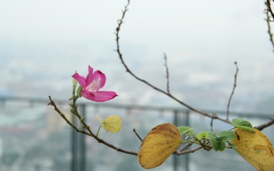 Đêm 5/4, miền Bắc đón không khí lạnh tăng cường