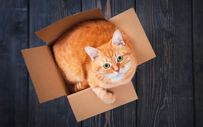 Tử vi thứ Năm (5/4/2018): Xử Nữ đã thực sự hiểu rõ người mình yêu?