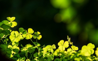 Bắc Bộ nắng ấm, nhiệt độ tiếp tục tăng