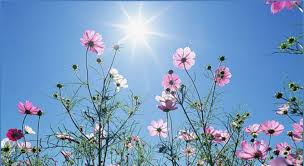  Nam Bộ và Tây Bắc Bộ tiếp tục nắng nóng gay gắt