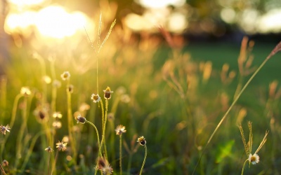 Thời tiết cả nước 10 ngày cuối tháng 4 như thế nào?