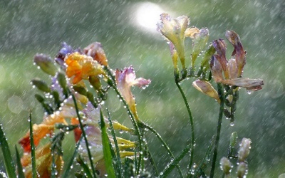 Bắc Bộ và Bắc Trung Bộ có mưa dông trên diện rộng