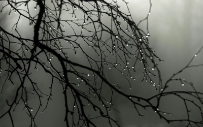 Bắc Bộ có mưa to, vùng núi có nguy cơ sạt lở đất