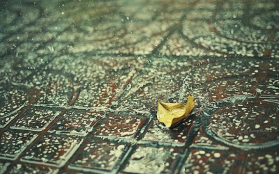 Bắc Bộ và Nam Bộ có mưa rào và dông