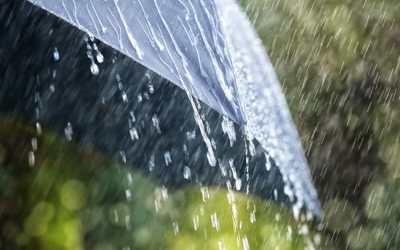 Tây Nguyên và Nam Bộ có mưa dông trên diện rộng