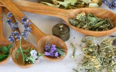 Hợp hoan bì dùng cho người stress có được không?