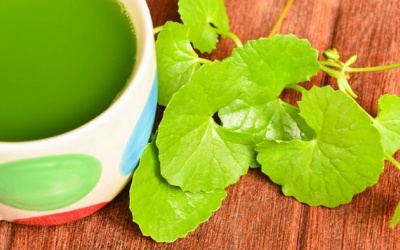 5 món ăn, bài thuốc Đông y trị say nắng hiệu quả