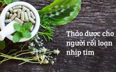 Một số loại thảo dược cho người bị rối loạn nhịp tim nhanh