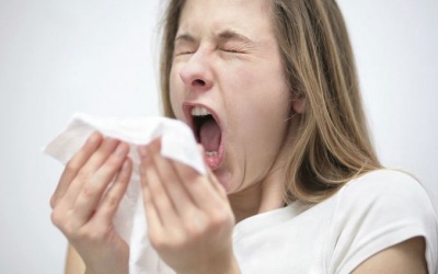 Viêm mũi dị ứng: Tưởng bệnh “xoàng” mà gây nhiều biến chứng