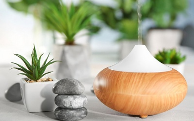 'Siêu hỗn hợp' chống dị ứng theo mùa từ tinh dầu