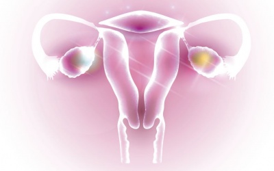 7 dấu hiệu cảnh báo hội chứng buồng trứng đa nang