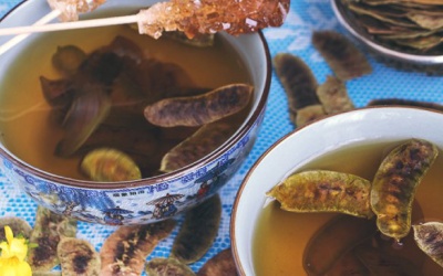 Thực hư công dụng nhuận tràng của trà senna phan tả diệp