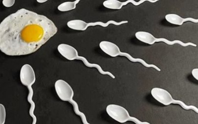 3 loại thực phẩm không nên ăn nếu muốn có tinh binh khỏe mạnh