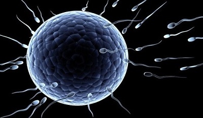 Khám phá mới về tinh trùng của nam giới