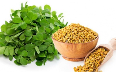 7 lợi ích sức khỏe hàng đầu của hạt cà ri
