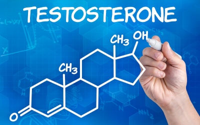 Testosterone - không chỉ là hormone sinh dục nam!