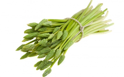 7 cách giúp hỗ trợ điều trị vô sinh hiếm muộn theo Ayurveda