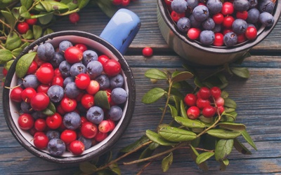 Pterostilbene - nguyên liệu quý cho ngành thực phẩm chức năng