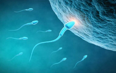 6 cách đơn giản giúp quý ông tăng lượng 'tinh binh'