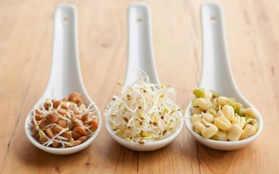 Lý do khiến bạn nên ăn ngũ cốc nảy mầm