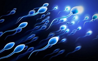 Có thể ngăn ngừa dị tật bẩm sinh trước khi thụ thai?