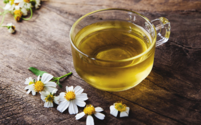 Bà bầu uống trà hoa cúc La Mã có an toàn?