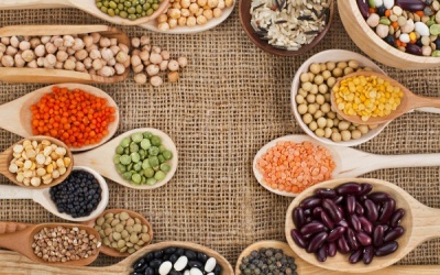 8 lợi ích của acid amin đối với cơ thể