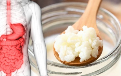 Bổ sung probiotic như thế nào khi không ăn được sữa chua?